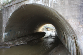 Looking through the Lick Run side of Schrader Tunnel.