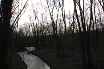 Another look at the wooded area around Lick Run.