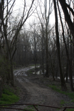 This gated dirt driveway ran adjacent to Lick Run. Could this be where Huffman's body was dumped?