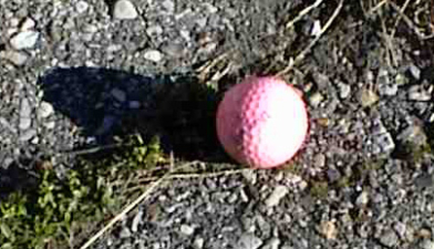 This pink, "Flying Lady 2" golf ball was sitting in front of the clubhouse.
