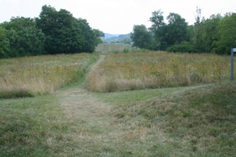 Seip Mound sits at the end of this small field.