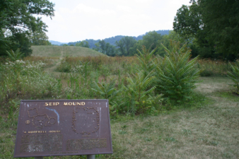This area was where the houses were located. Seip Mound is seen in the background.