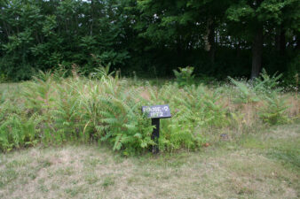 The location of one of the houses excavated in 1972.