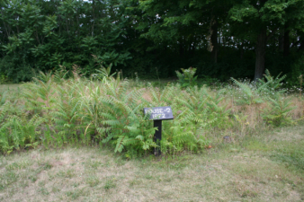 The location of one of the houses excavated in 1972.