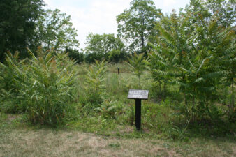 Another house site.