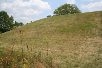 Looking to the left.