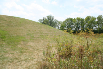 Looking to the right.