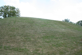 The mound was so large that it barely fit in this photo taken near the base.