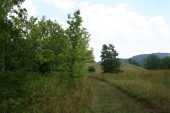 Our final look at Seip Mound.