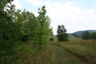 Our final look at Seip Mound.