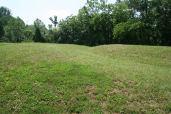 This was where the serpent's head began.