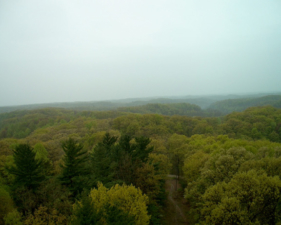 View number one from the tower's cabin 100 feet in the air.