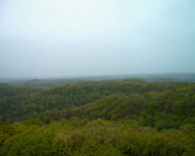 View number two.