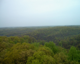 The rolling hills of view number three.