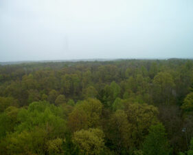 View number four.