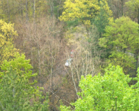 A zoomed in photo of our vehicles below.