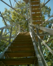 The wood stairs that led to the top of the tower were in great shape.