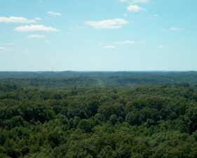 The view from the top was a bit more green in July.