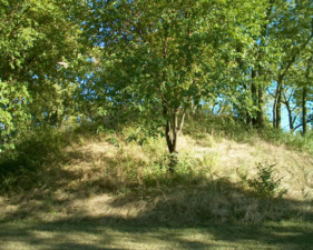 The western face of the mound.