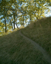 This winding trail was on the front side of the mound.