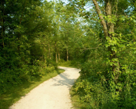 One of the many nature trails in the park.