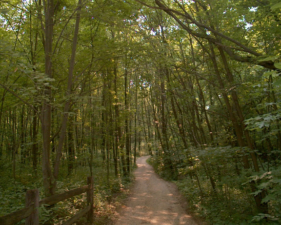 The main walkway of Slate Run's original nature trail.