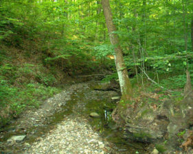 The creek was fairly dry on this visit.
