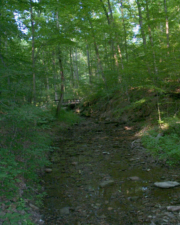 A view of one of the bridges that cross the creek.