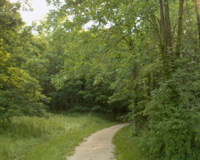 A pathway through one of the prairies.