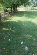 White flags marked the locations of where broken tombstones were removed.