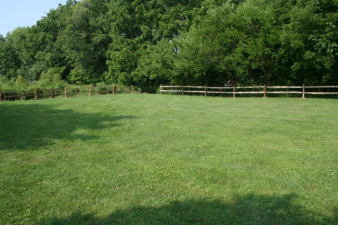 There were no standing tombstones remaining in Stevenson Cemetery.