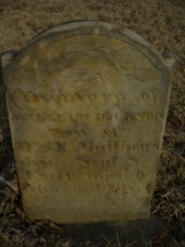 William Dickson Matthews' tombstone. He died on September 6, 1846 at only six months old.