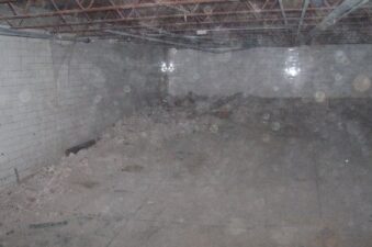 The old pool was pretty dusty.