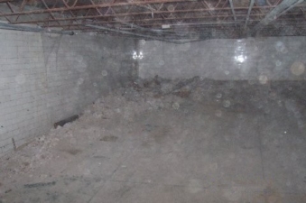 The old pool was pretty dusty.