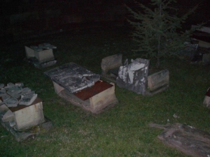 The graves at the center of the cemetery.