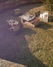 Looking over the wall into the cemetery.