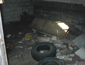 Nothing much was in the basement except for wasps and trash.