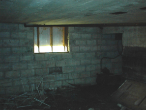 The basement window.