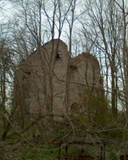 The house looked like an ancient ruin surrounded by trees.