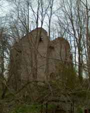 The house looked like an ancient ruin surrounded by trees.