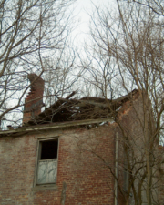 The roof was almost nonexistent. Most of it had fallen in.