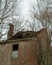 The roof was almost nonexistent. Most of it had fallen in.
