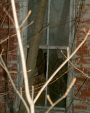 Lots of junk was stacked up in the standing portion of the house.
