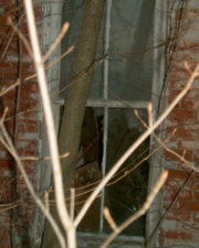 Lots of junk was stacked up in the standing portion of the house.