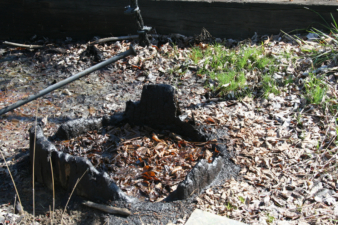 A closer look at the well, complete with the original log casing.
