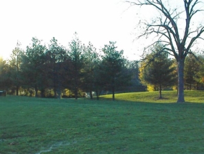 Our view upon arrival, looking west from the parking lot toward the pond.