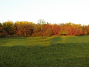 The treeline in the fall.