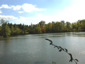 Another scenic view of Three Creeks' pond, now named Turtle Pond.