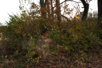 A waist-high cement wall was built around the burials to protect them from being plowed.