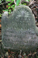 The tombstone of Tunis Newkirk, who died on August 13, 1836 at the age of four years. He was named after his grandfather, Tunis Newkirk, who the cemetery is named for. The elder Tunis was buried here in 1823, but his marker was not found.